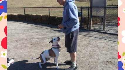 Generation Pets Canine Behavior Counseling & Training