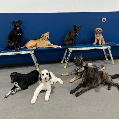 Garden State K9