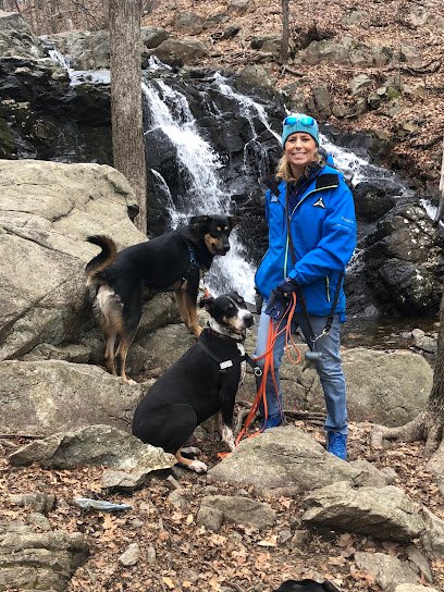 A.H. Dog Training LLC
