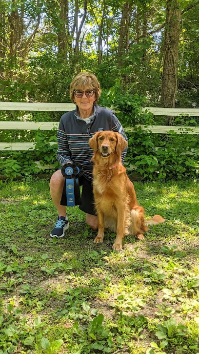 Blue Ribbon Dog Sports Coaching LLC