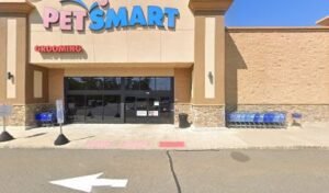 PetSmart Dog Training