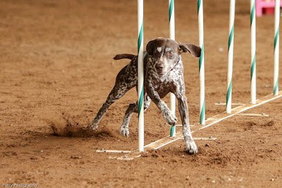 JAG – Dog Agility Training Club