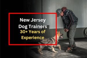 John Soares K9 Training