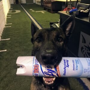 Joe Nick Canine Training