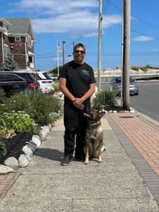 Pro K9 Center