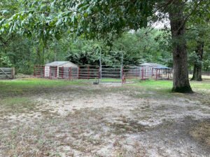 Wilford Dog Training Academy