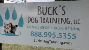 Buck’s Dog Training, LLC
