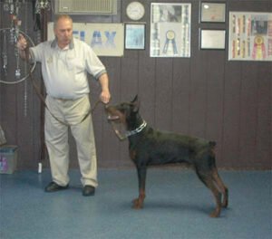 Robinswood Kennels LLC