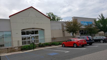 Petco Dog Training