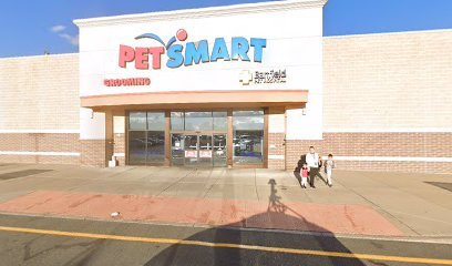 PetSmart Dog Training