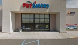 PetSmart Dog Training