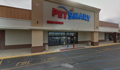 PetSmart Dog Training