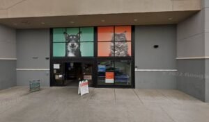 PetSmart Dog Training