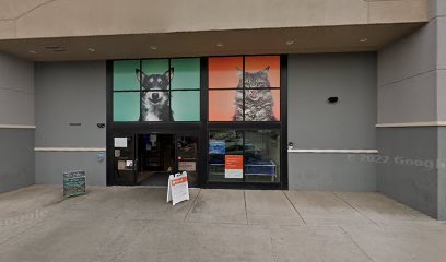 PetSmart Dog Training