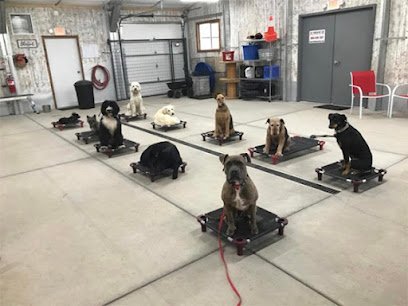 Sit Means Sit Dog Training Albuquerque
