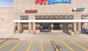 PetSmart Dog Training
