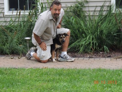 Alert Canine Training Solutions