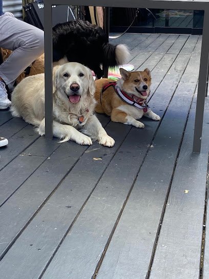 Keyrak Dog Club