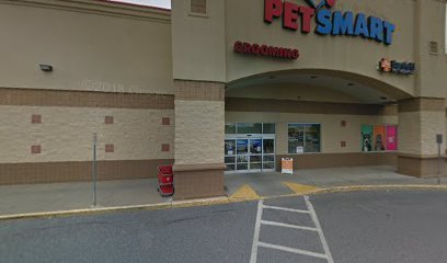 PetSmart Dog Training