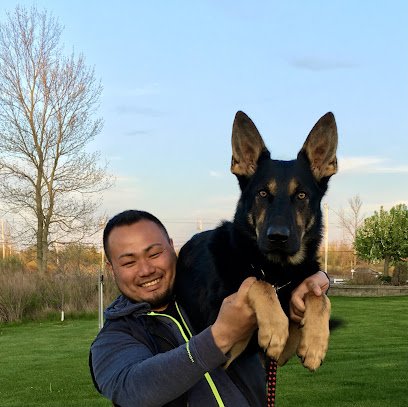 K9 Family Training