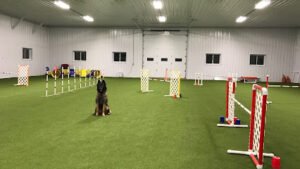 Five Points Training