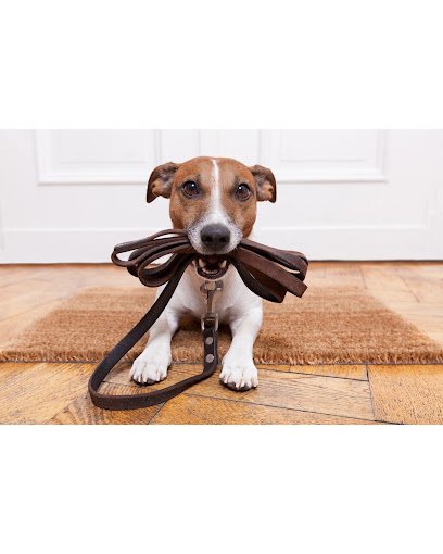 LovePup Training