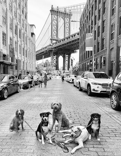 MindfulPups