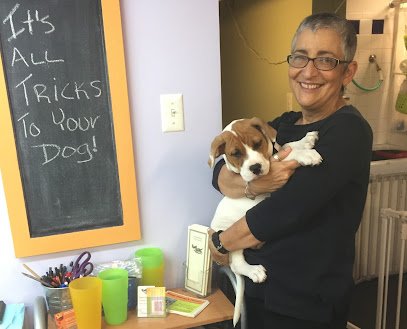 PumpkinPups Dog Training Inc.