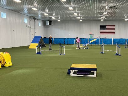 Dream Dogs Training Center