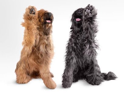 DogRelations NYC
