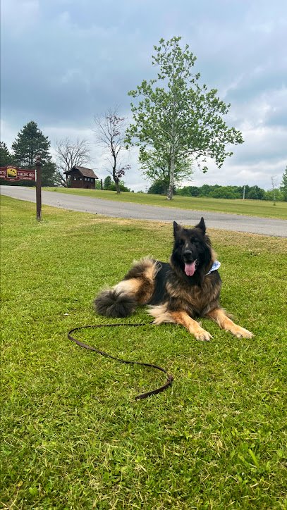 K9 Vision at the DLC