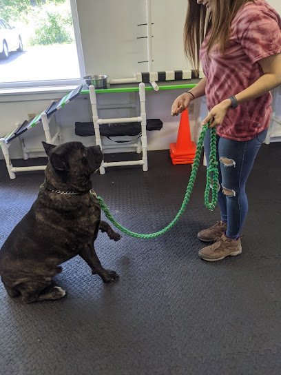Helping Hounds Training Solutions