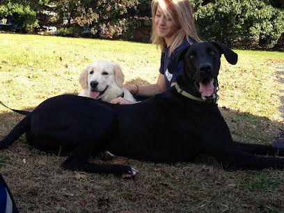 Best Friend’s Dog Training