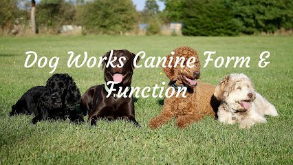 Dog Works Canine Form & Function