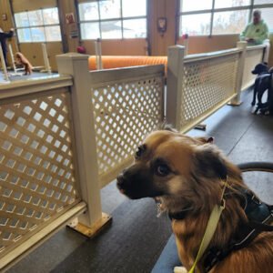 Doc’s K9 Center