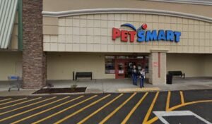 PetSmart Dog Training