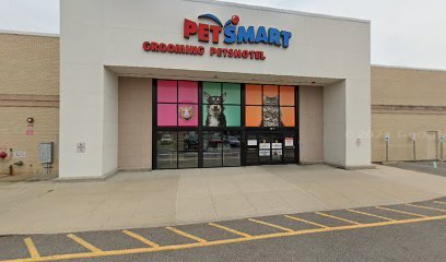 PetSmart Dog Training