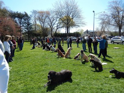 Best Friend’s Dog Training