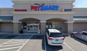 PetSmart Dog Training