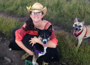 The Upward Dog – Training, Boarding & Adventures