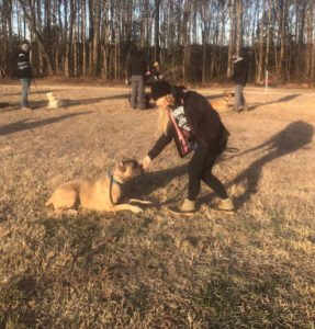 Fronte Unito Cane Corso, LLC