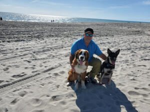 High 5 K9 Academy