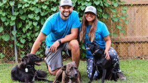 Hakuna Matata Dog Care & Training, LLC