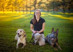 Discovery Dog Training, LLC