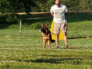 Piedmont Schutzhund Club