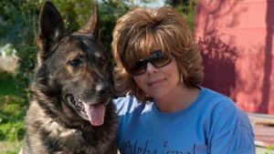 Greater Coastal Canine Academy, Dog Training