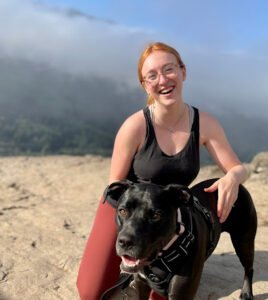 K9 Communication LLC