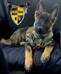 Mill-Sec K9