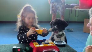 Family Paws, LLC