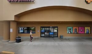 PetSmart Dog Training
